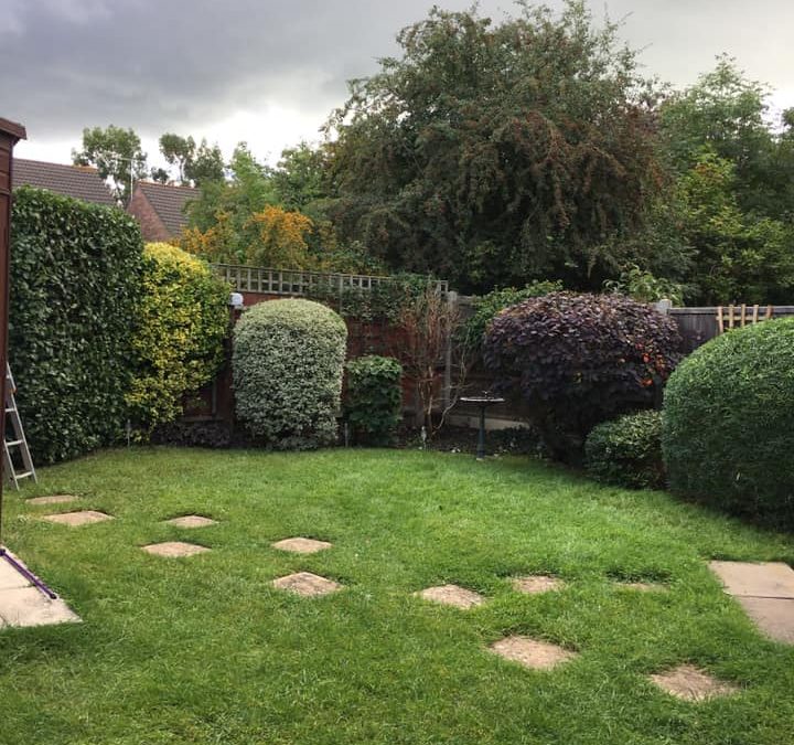 Landscape Gardeners