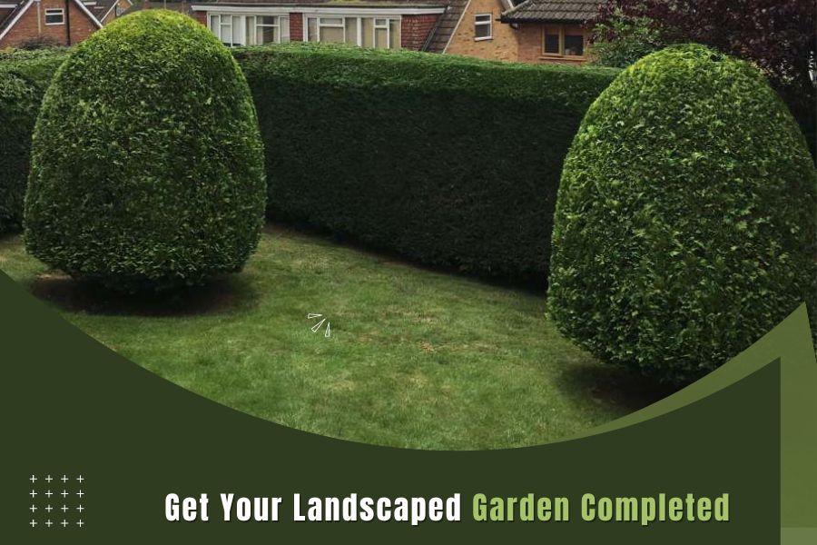 How Can Hiring Professional Landscape Gardeners Save You Time?